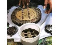 2349163720783-the-best-powerful-spiritual-herbalist-man-in-nigeria-to-make-money-small-4