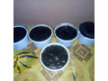 the-best-powerful-herbalist-man-in-nigeria2348156950703-small-2